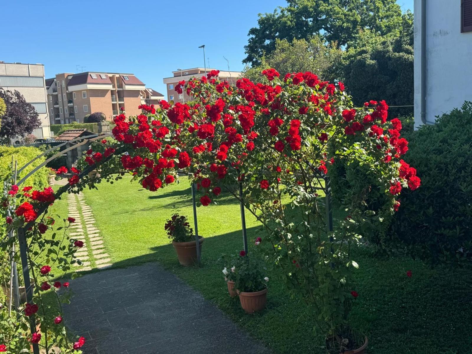 B&B Le Cinque Querce Viterbo Exterior photo